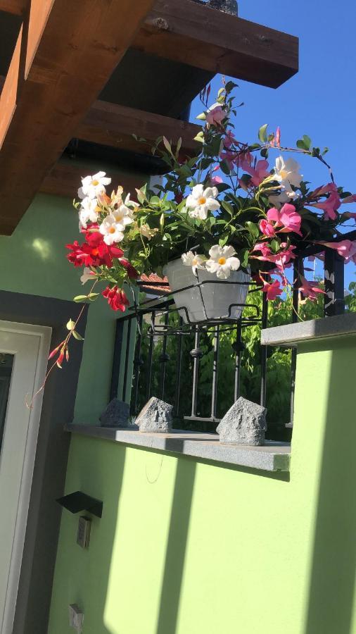 Tom & Jerry Bed & Breakfast Pisa Exterior photo